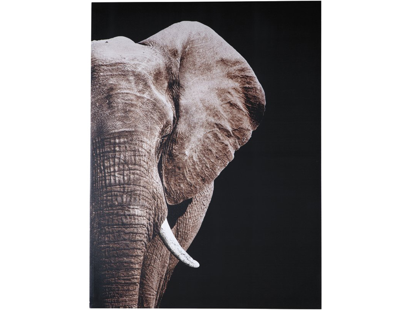 Elephant Canvas Art 36"W x 48"H Steinhafels