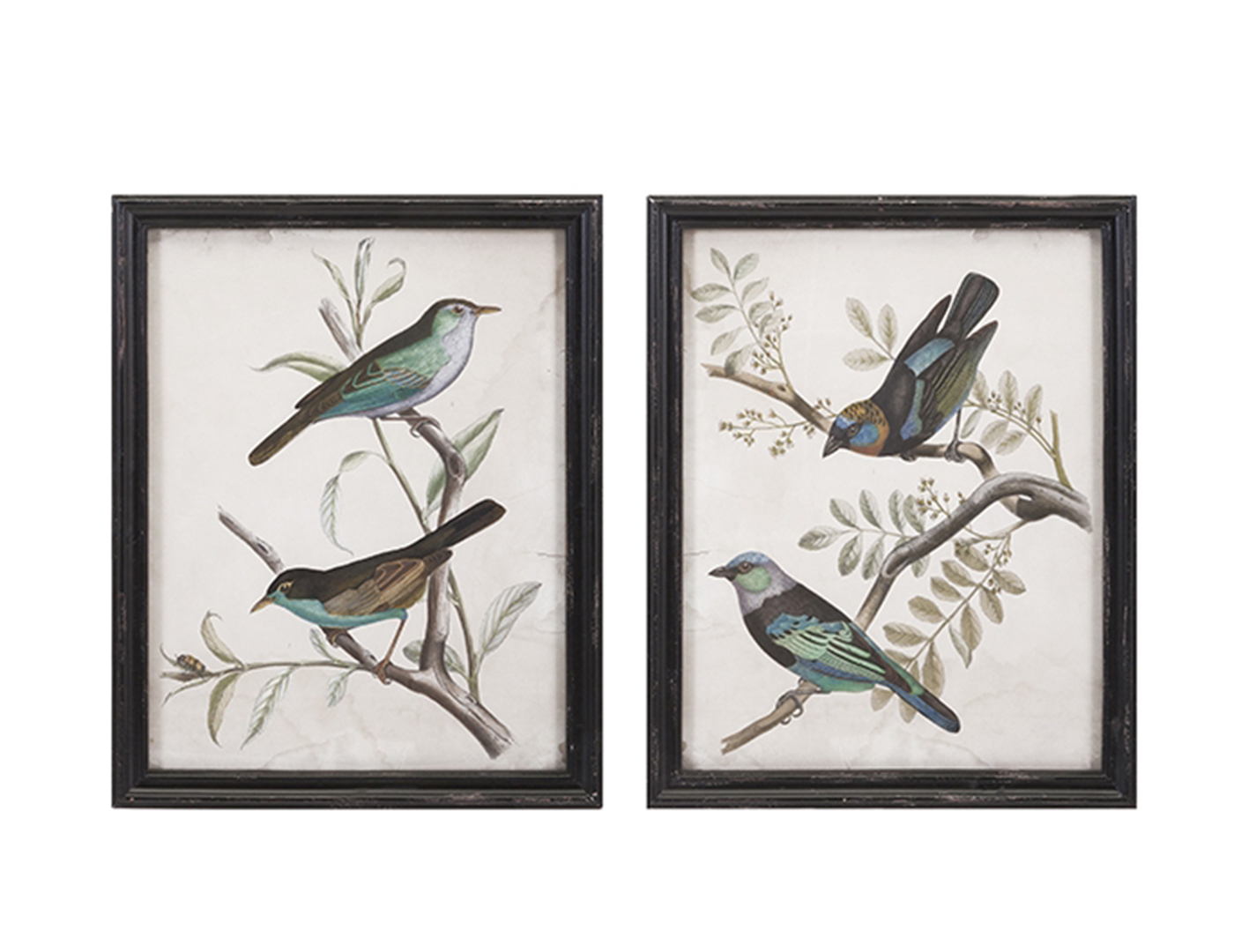 Assorted Birds on Branches Wall Art Each 18.5"W x 23.5"H Steinhafels