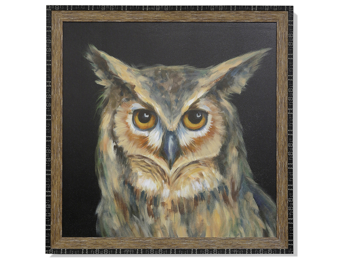 Owl Portrait Framed Art 40"W x 40"H Steinhafels