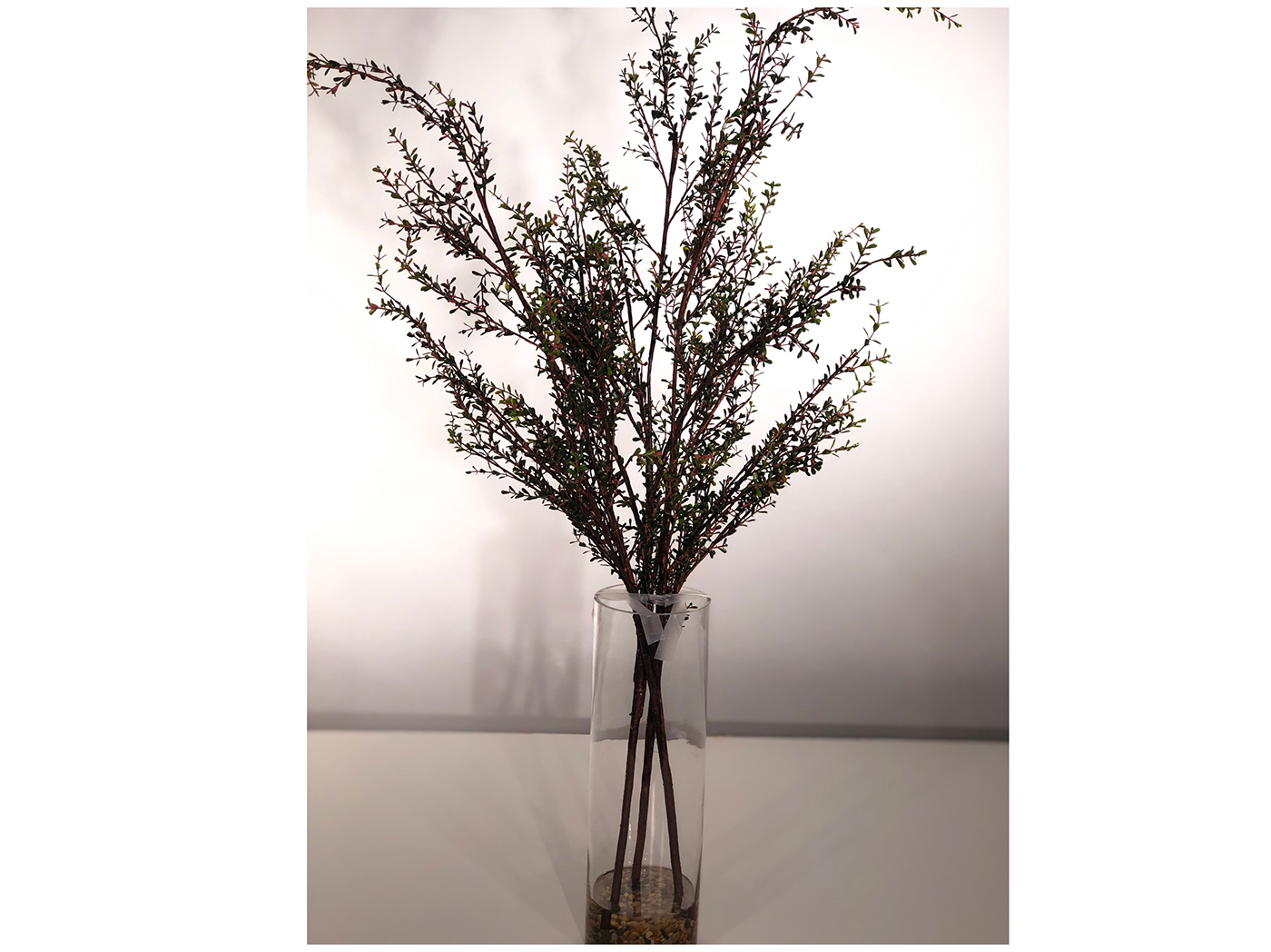 Myrtle Branches In Waterlook Glass Vase Steinhafels
