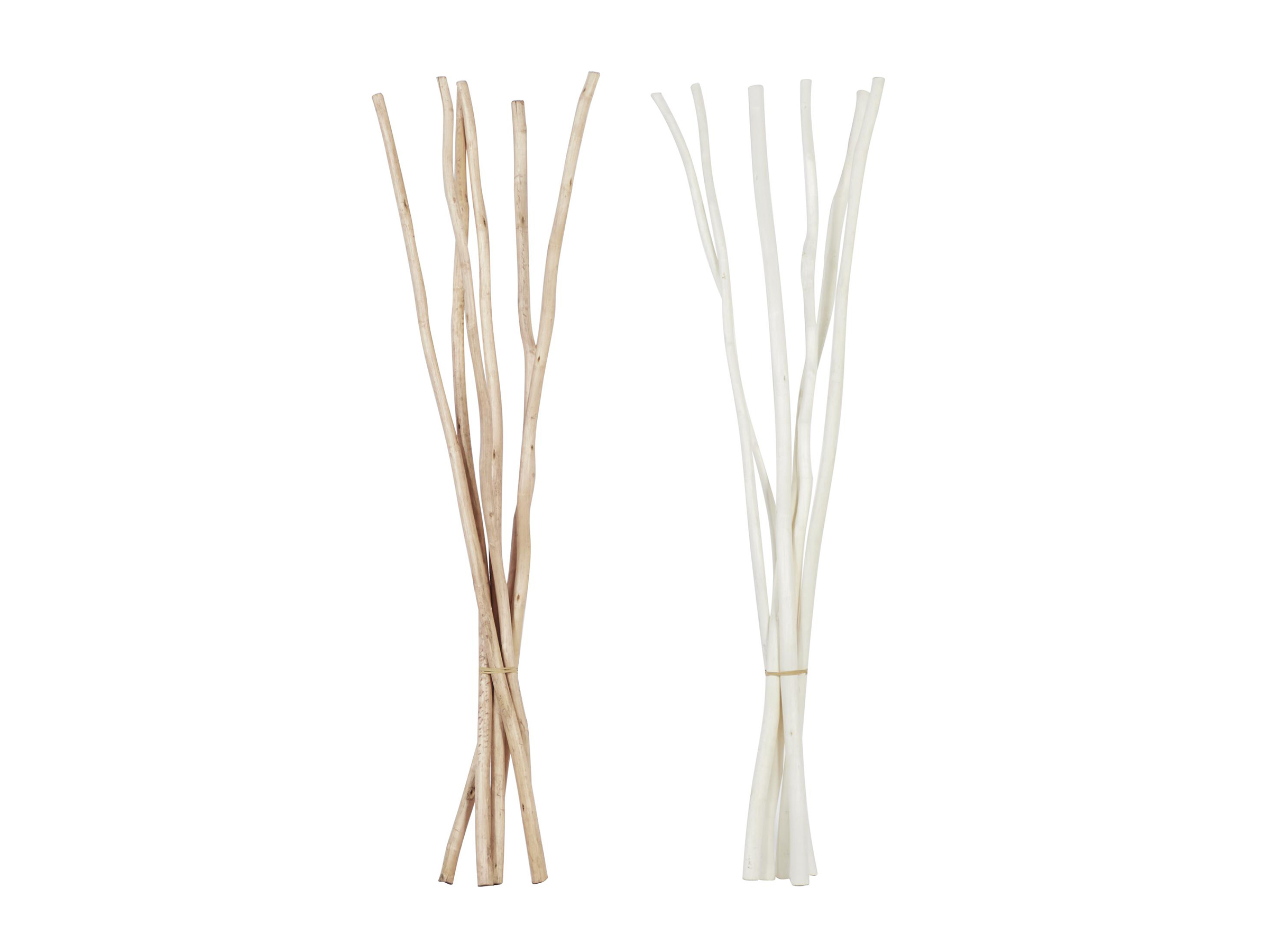 Assorted Natural and White Sticks Bundle 60"H Each Steinhafels